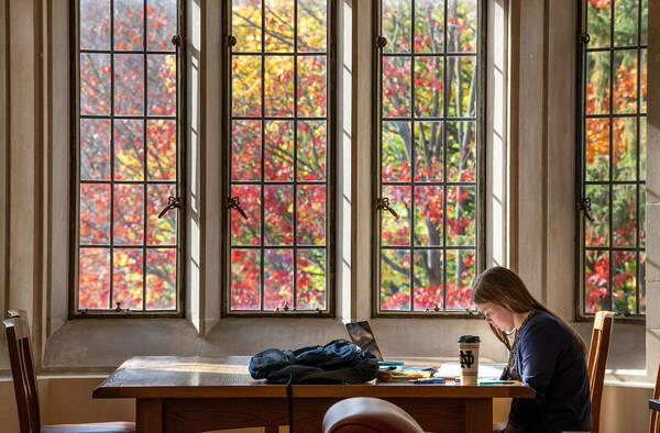 A student studies in the Biolchini Hall of Law